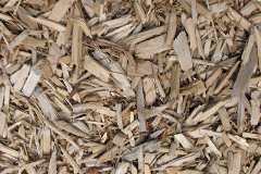 biomass boilers Rhostryfan